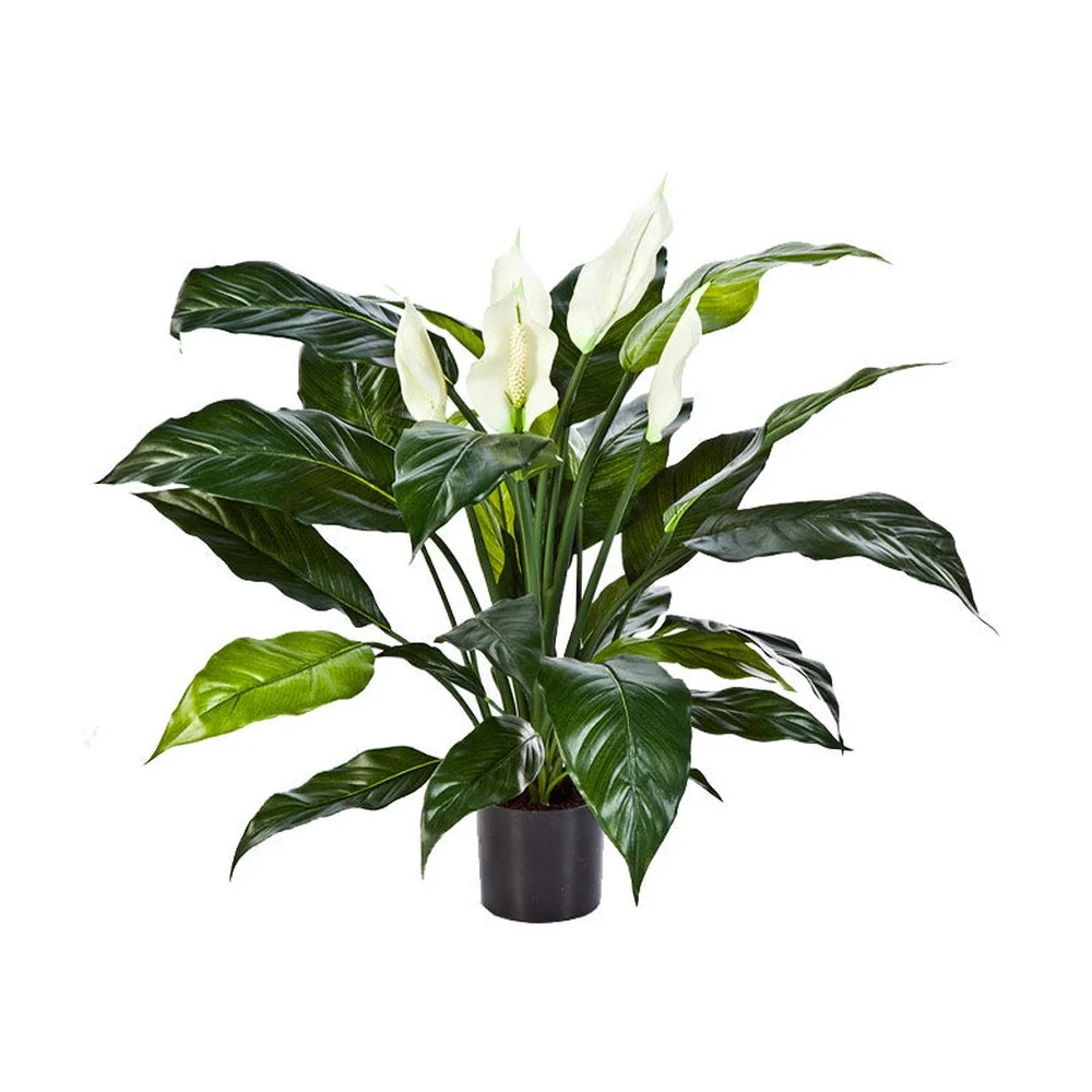 Cserepes mű vitorlavirág 73 cm krém "Spathiphyllum"