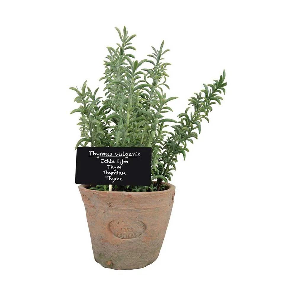 THYMUS élethű cserepes kakukkfű műnövény 19 cm