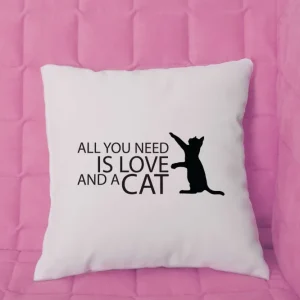 All you need is...párna
