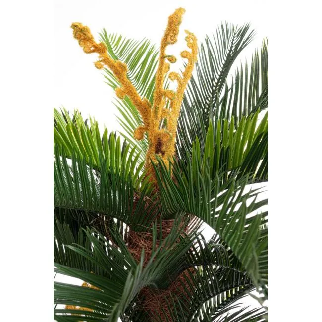 CYCAS zöld műanyag művirág