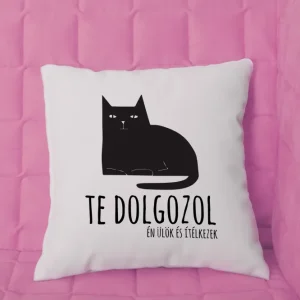 Te dolgozol...párna