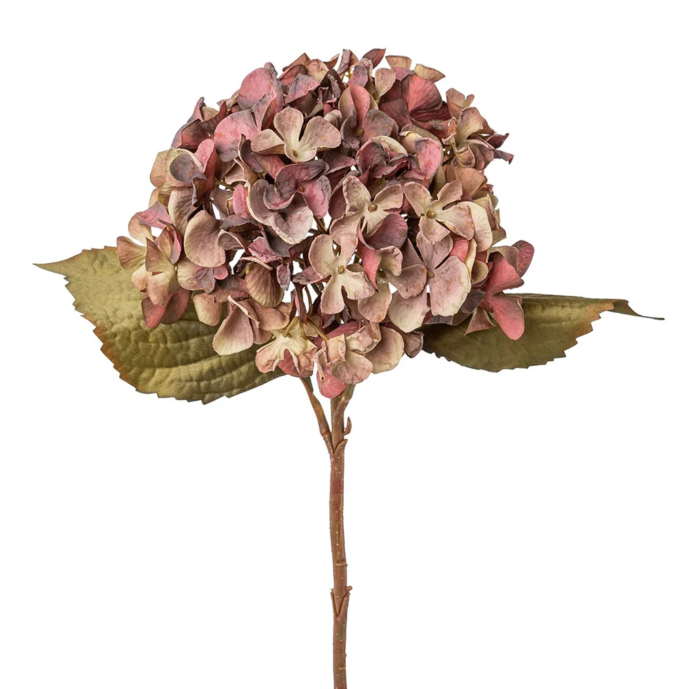 HYDRANGEA fáradt mályva mű hortenzia 46 cm