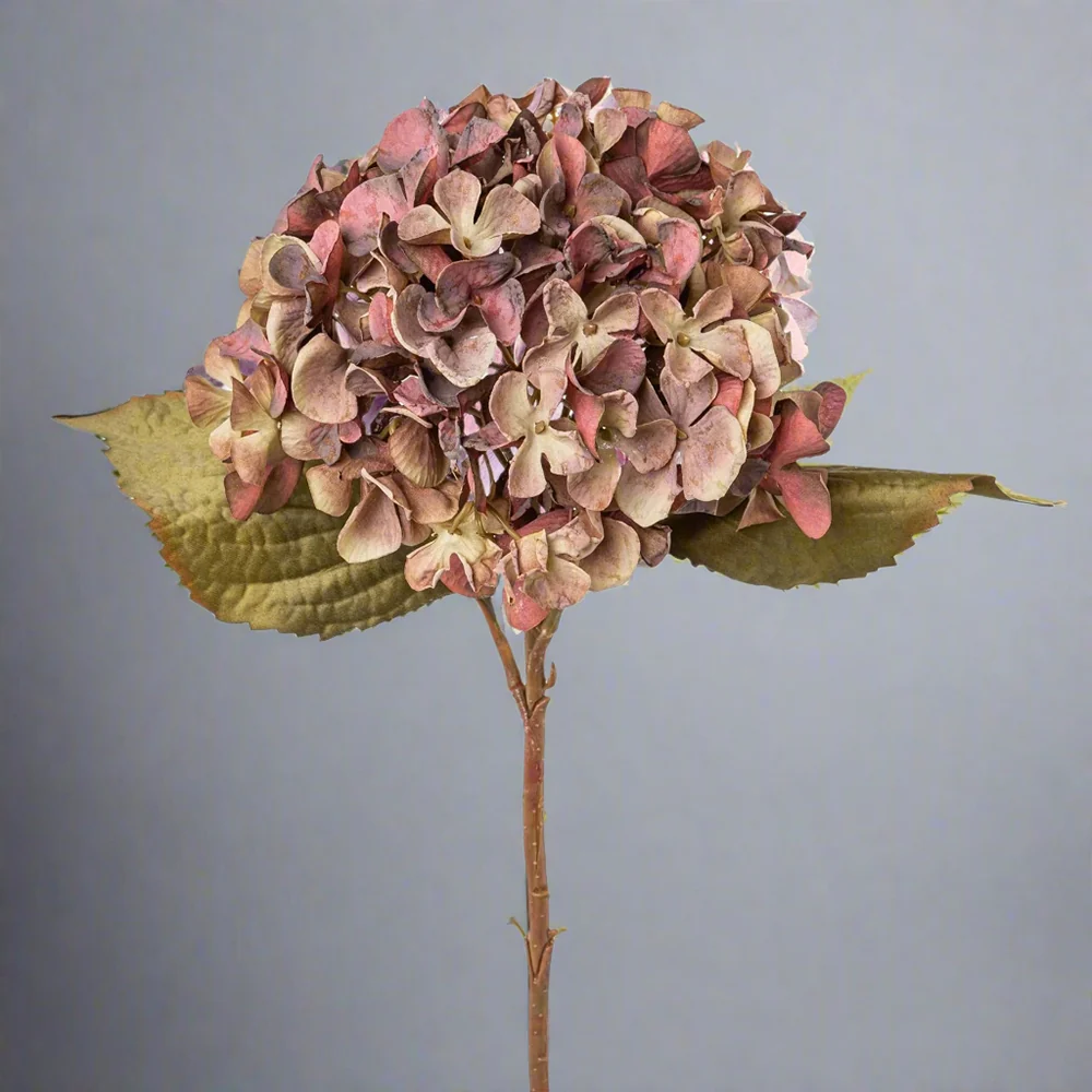 HYDRANGEA fáradt mályva mű hortenzia 46 cm