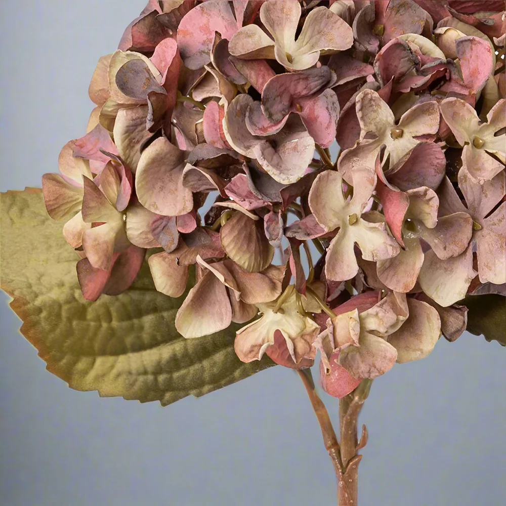 HYDRANGEA fáradt mályva mű hortenzia 46 cm