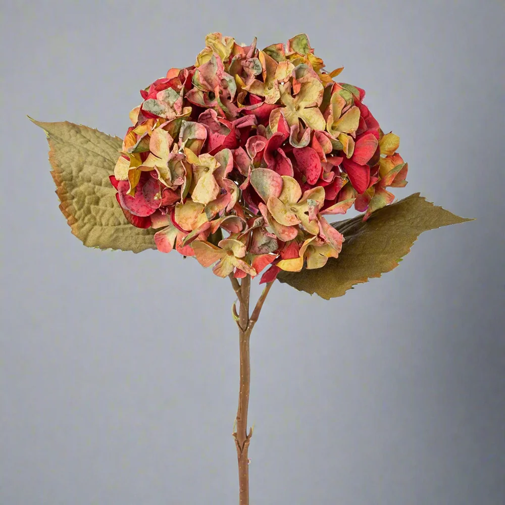 HYDRANGEA fáradtkorall mű hortenzia 46 cm