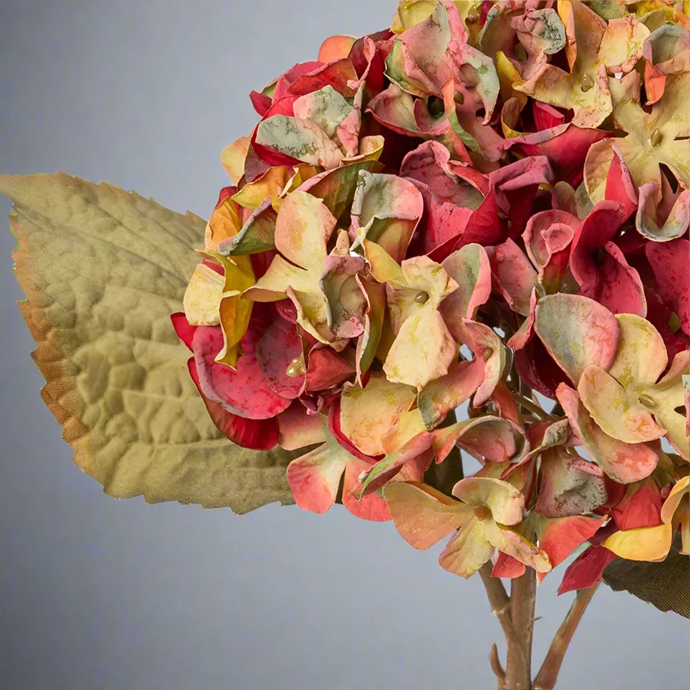 HYDRANGEA fáradtkorall mű hortenzia 46 cm