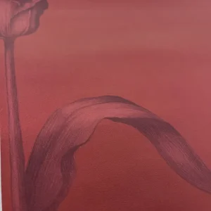 Mély terrakotta tulipán mintás tapéta