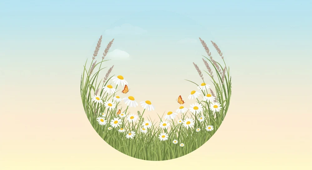 Nursery room wallpaper | Margitmező és pillangók egy nyugtató környezetben
