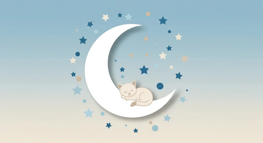 Nursery room wallpaper | Sleeping kitten on moon stars