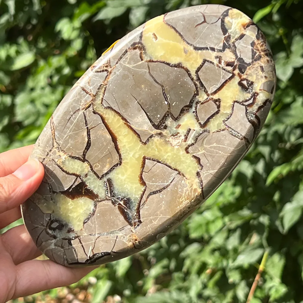Slice septaria XL m3