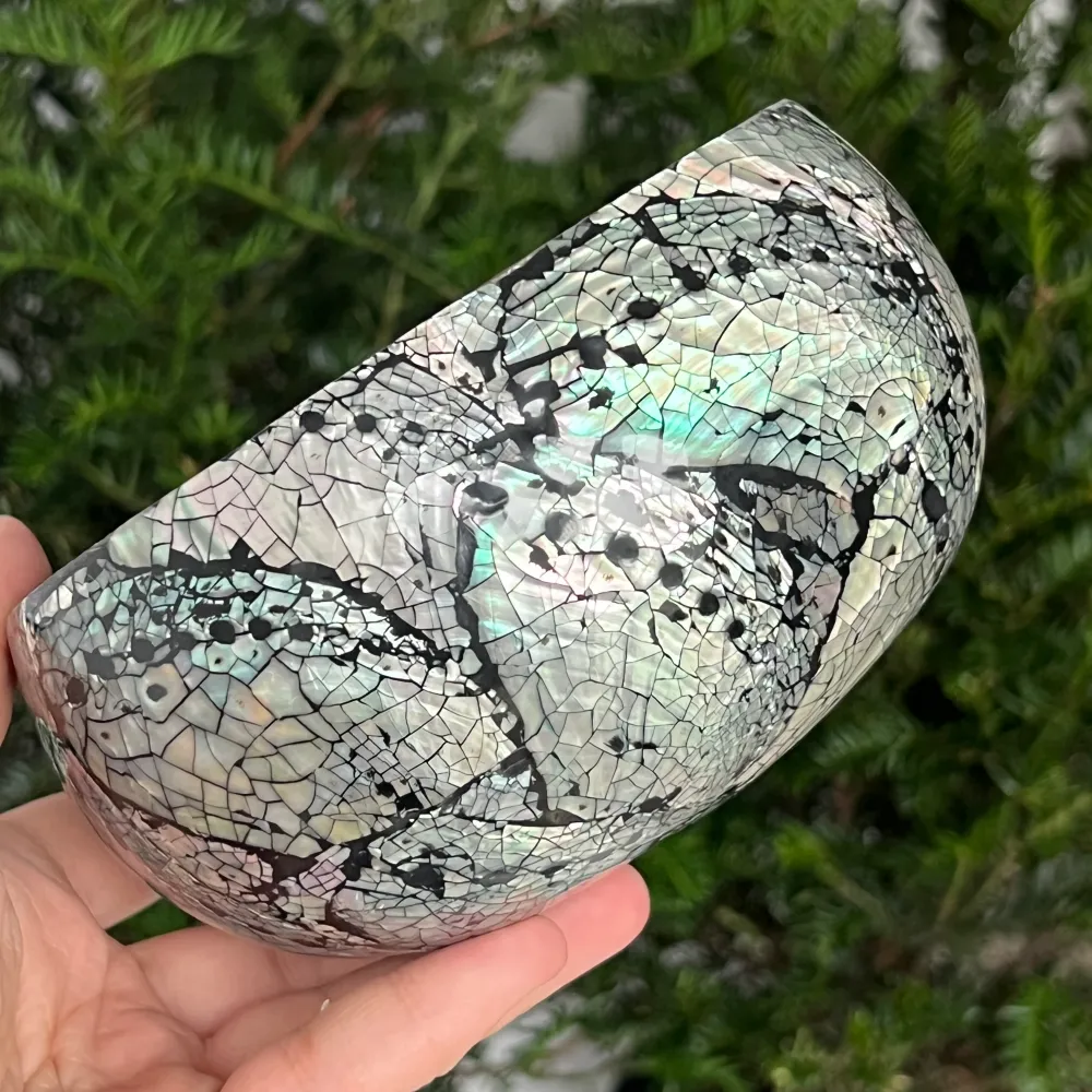 Abalone és kókuszos kagylótál | Szivárvány