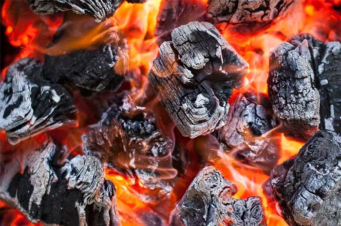 Josper Tölgy keményfa faszén 9,5 kg – grill és BBQ célra (CAE)