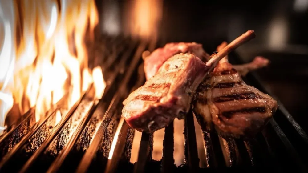 Josper Tölgy keményfa faszén 9,5 kg – grill és BBQ célra (CAE)