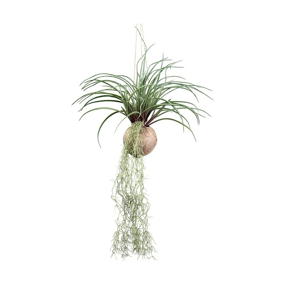 Függeszthető mű szakállbromélia dekoráció 72 cm zöld "Tillandsia"