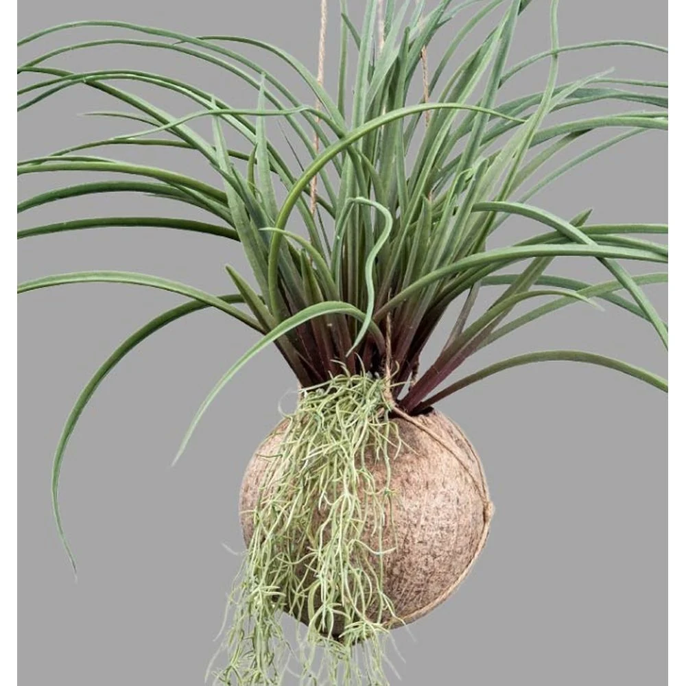 Függeszthető mű szakállbromélia dekoráció 72 cm zöld "Tillandsia"