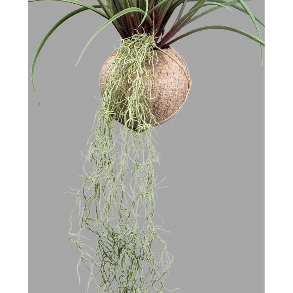 Függeszthető mű szakállbromélia dekoráció 72 cm zöld "Tillandsia"