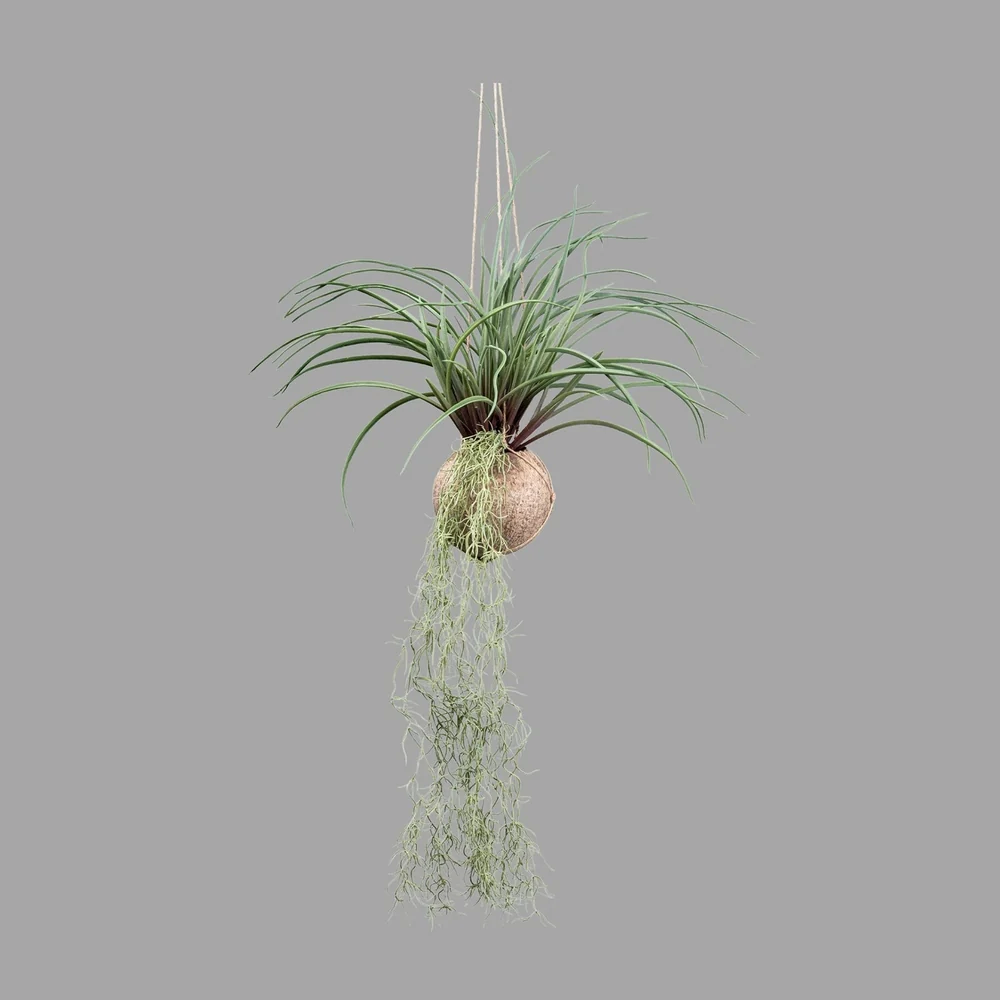 Függeszthető mű szakállbromélia dekoráció 72 cm zöld "Tillandsia"