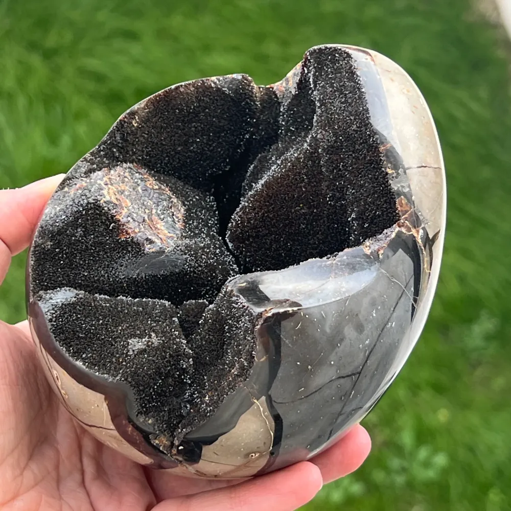 Septaria tojás Madagaszkárról, sárkánykő, XL 12