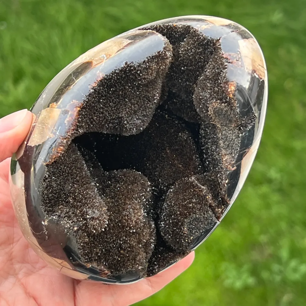 Septaria tojás Madagaszkárról, sárkánykő, XL11