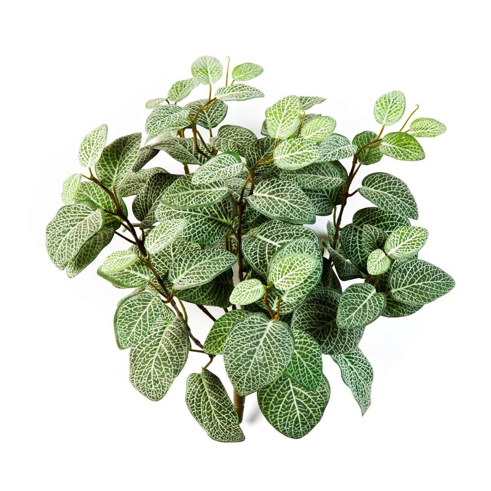 FITTONIA zöld betűzős mű hálóslevél bokor 25 cm