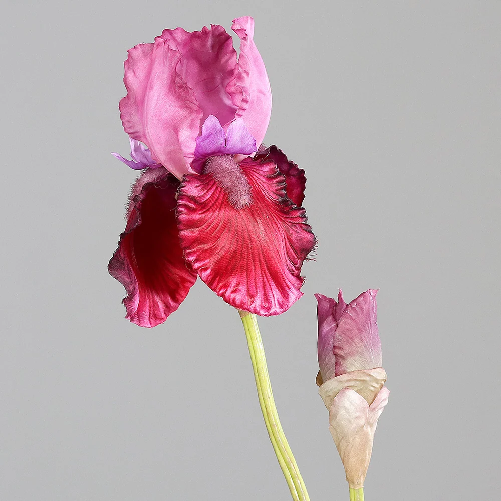 IRIS fukszia mű írisz 80 cm