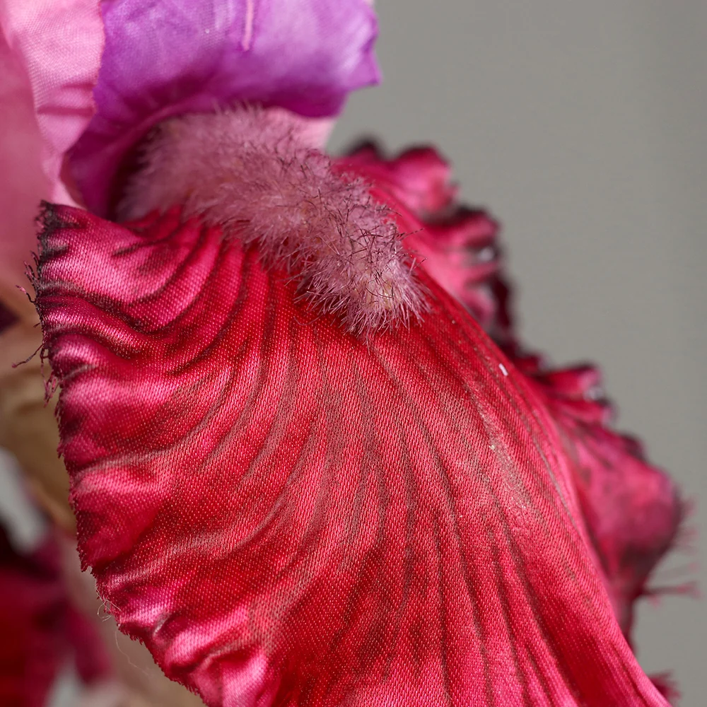IRIS fukszia mű írisz 80 cm