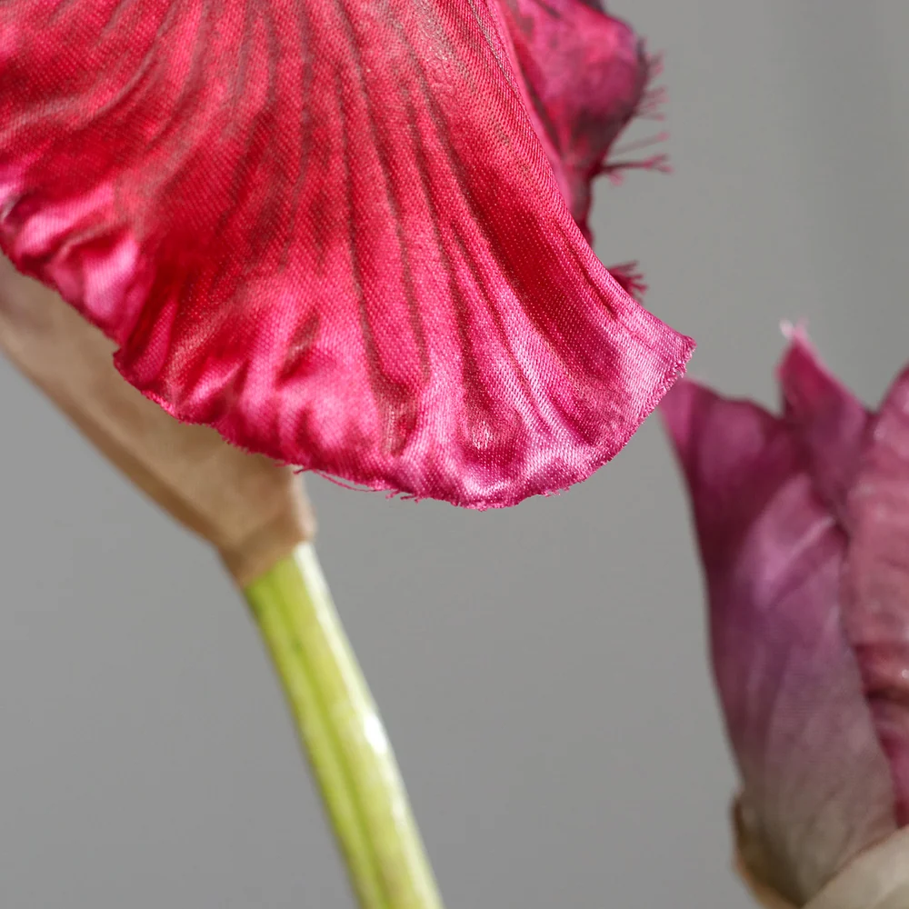IRIS fukszia mű írisz 80 cm