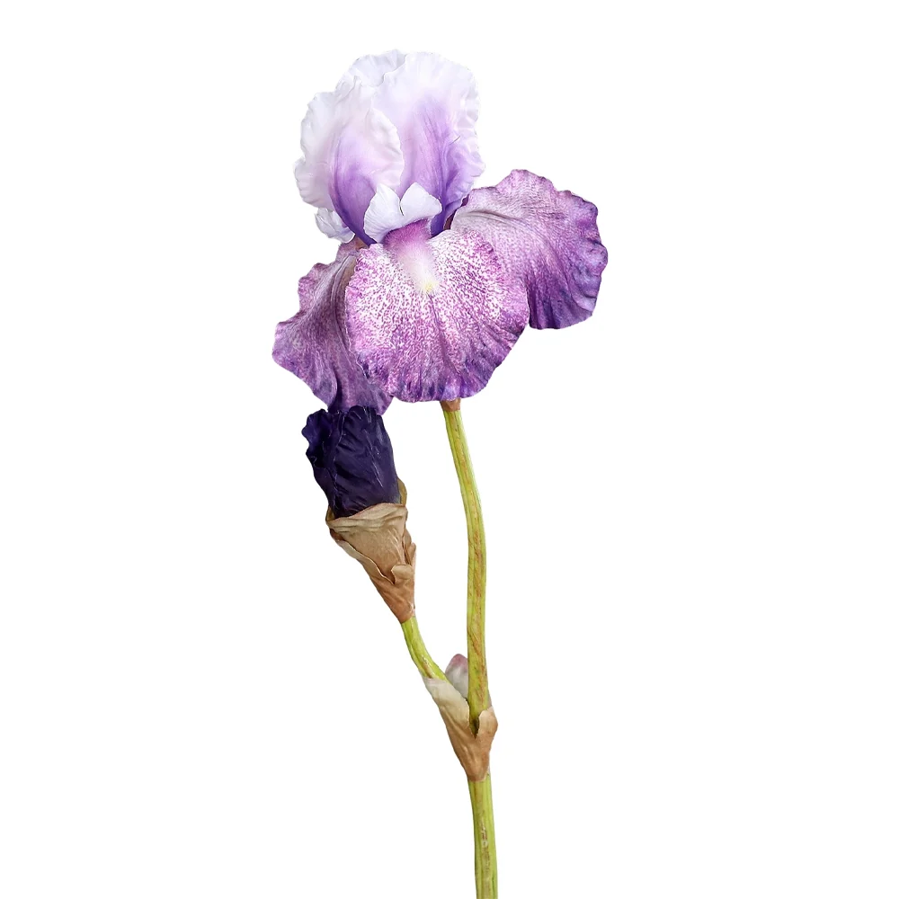 IRIS lila mű írisz 80 cm