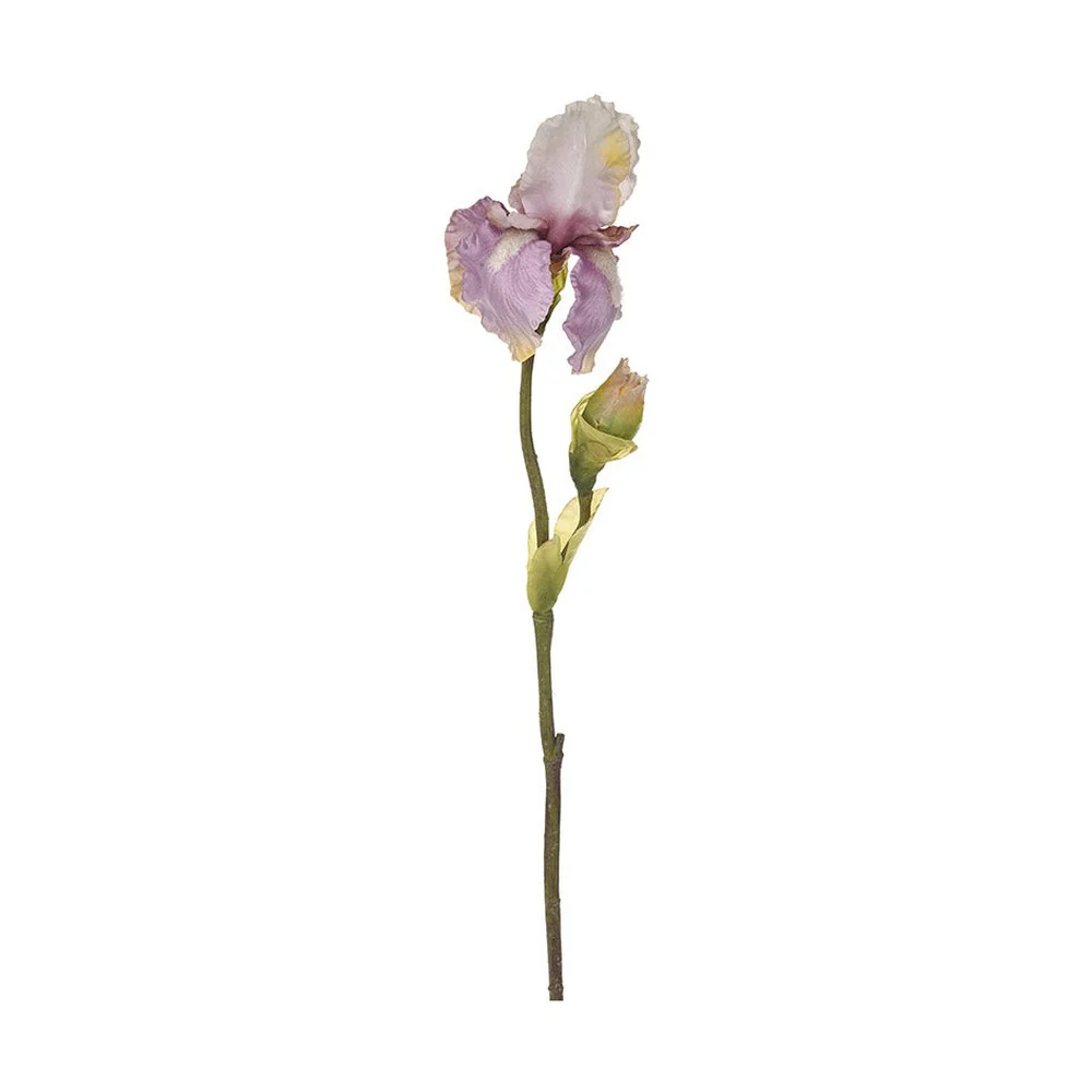 IRIS mályva mű írisz 85 cm