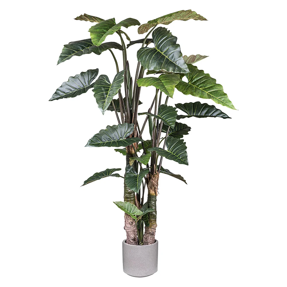 COLOCASIA óriás zöld mű táró bokor 260 cm