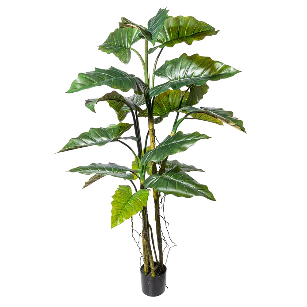COLOCASIA zöld mű táró bokor 180 cm