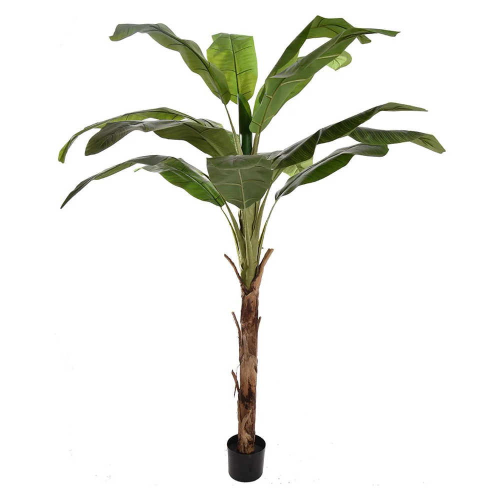 BANANO ROYAL zöld mű royal banánfa 180 cm