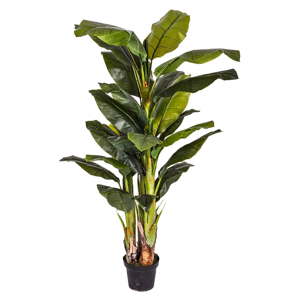 BANANO zöld mű banánfa 180 cm
