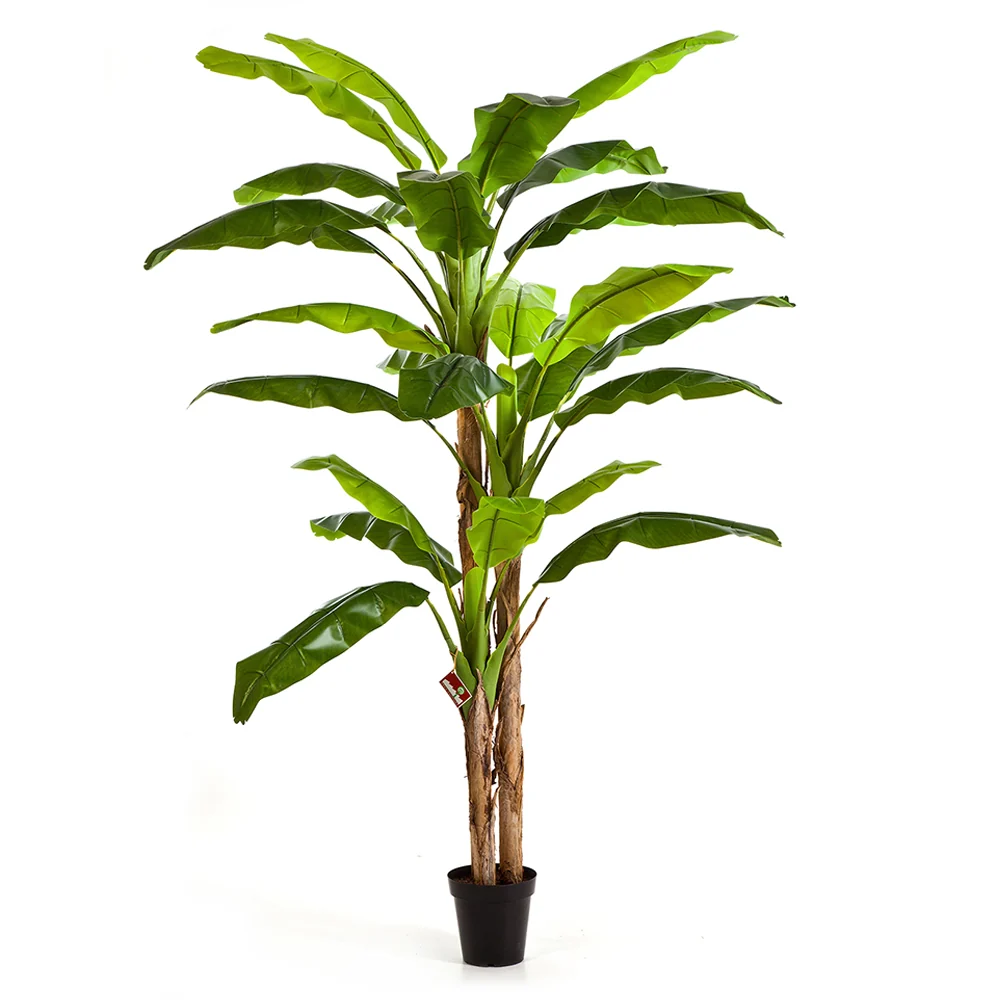 BANANO zöld mű banánfa 240 cm