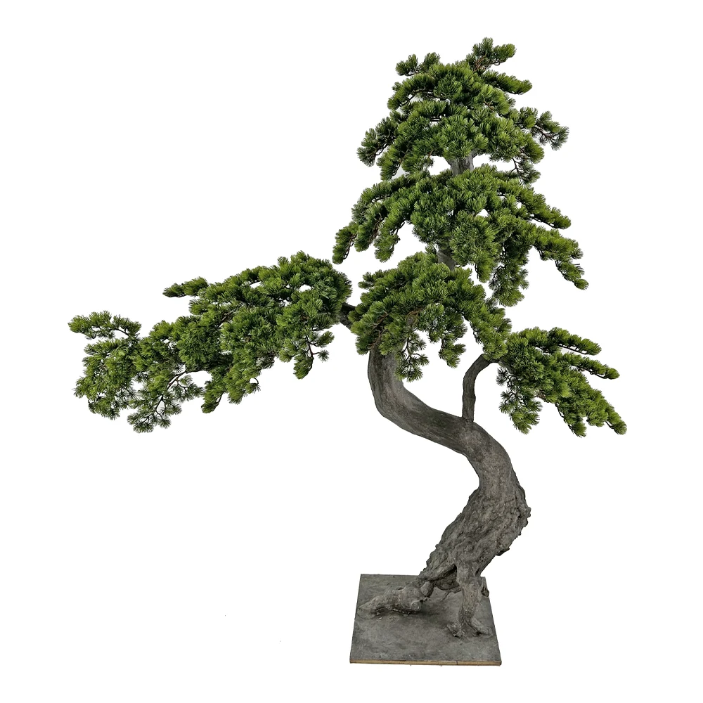 BONSAI nagy mű fenyő bonsai fa 160 cm