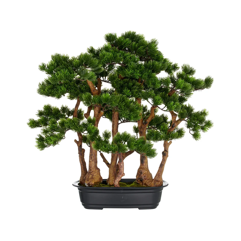 BONSAI PINE zöld mű fenyő bonsai fa 60 cm