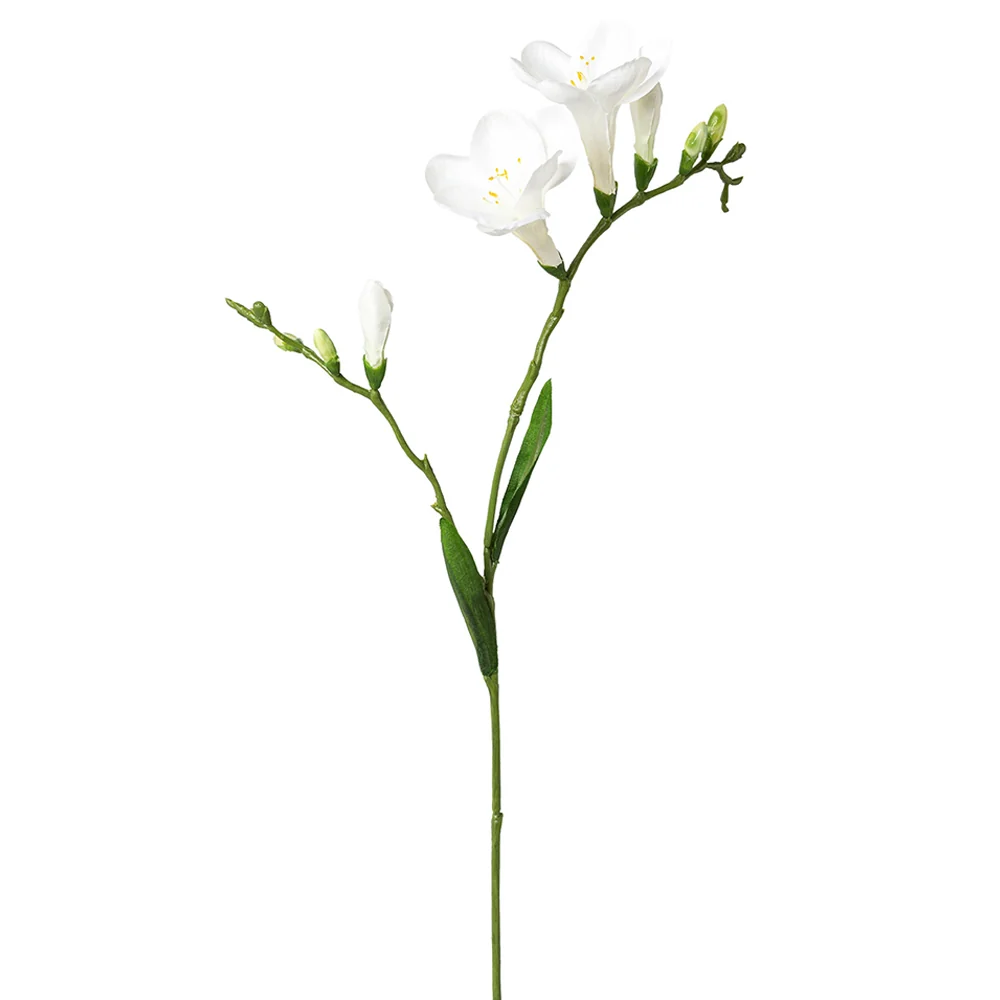 Mű frézia 68 cm fehér "Freesia"
