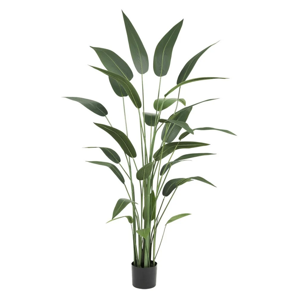 HELICONIA zöld mű rákollóvirág 180 cm