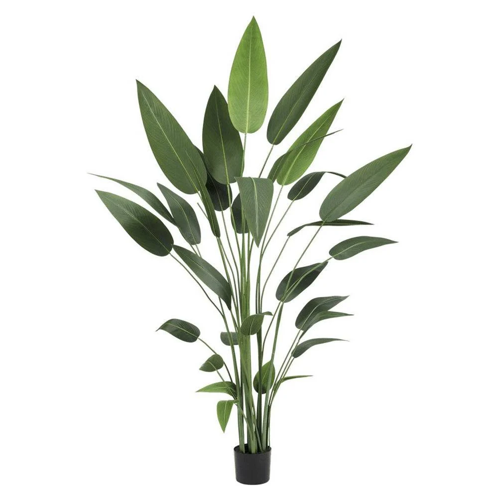 HELICONIA zöld mű rákollóvirág 210 cm