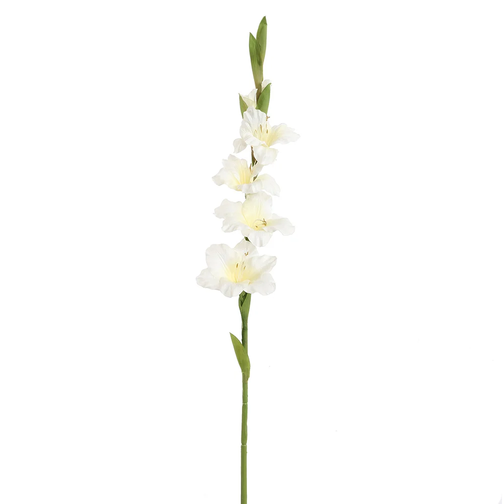 Mű kardvirág 85 cm krém "Gladiolus"