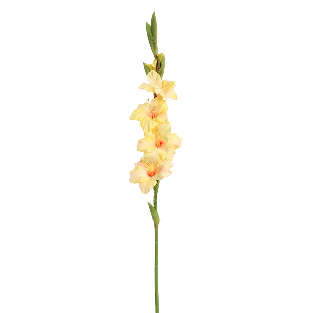 Mű kardvirág 85 cm sárga "Gladiolus"
