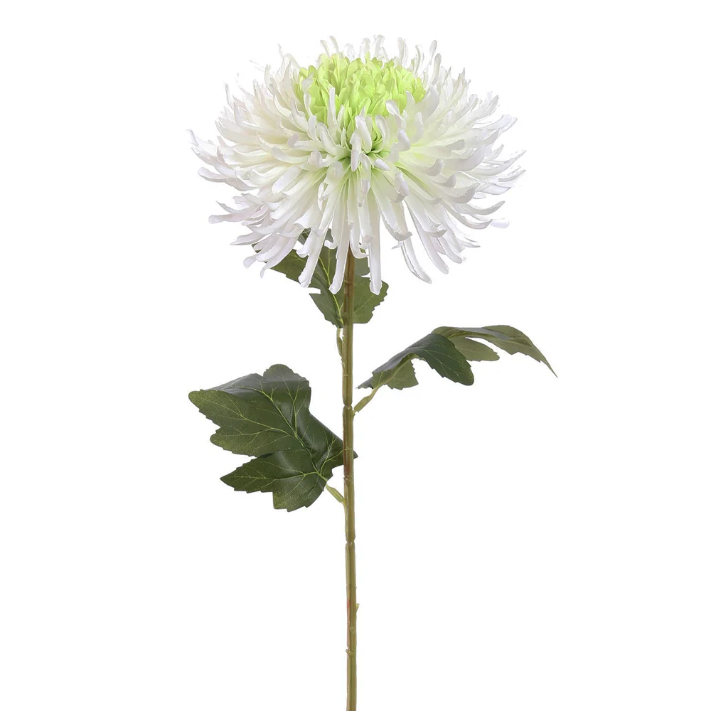 CHRYSANTHEMUM zöldes krém mű pók krizantém 70 cm