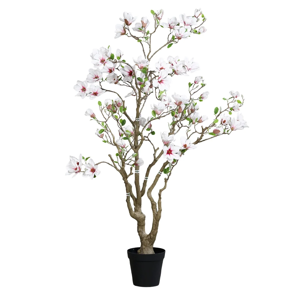MAGNOLIA fehér mű magnóliafa 200 cm
