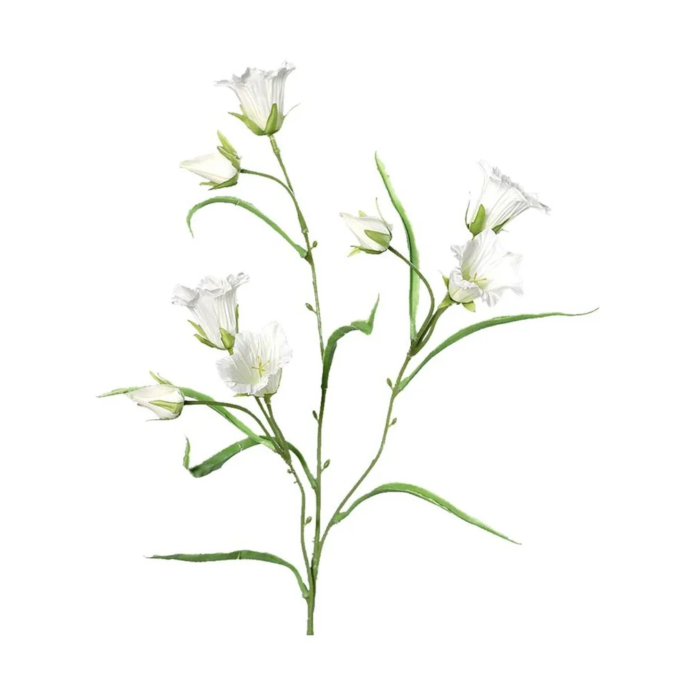 CAMPANULA fehér mű harangvirág 66 cm
