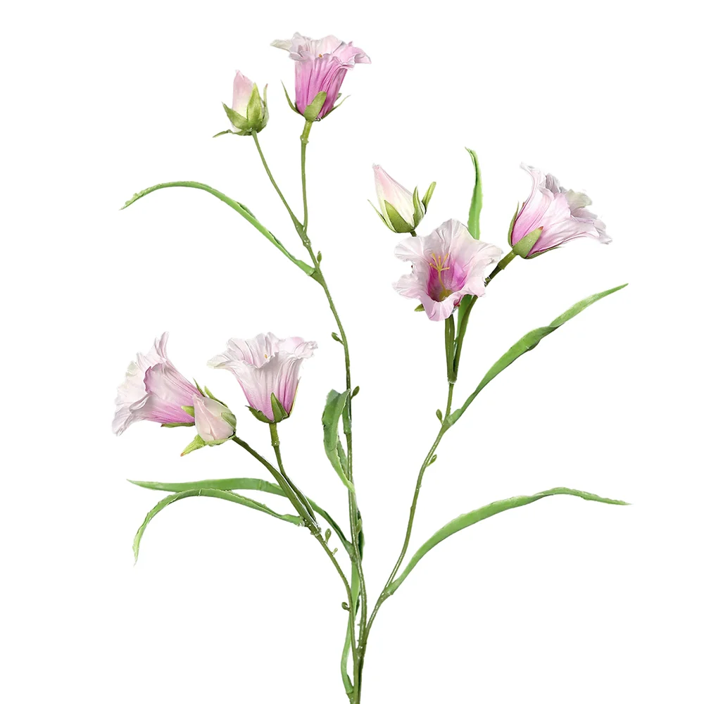 CAMPANULA rózsaszínű mű harangvirág 66 cm