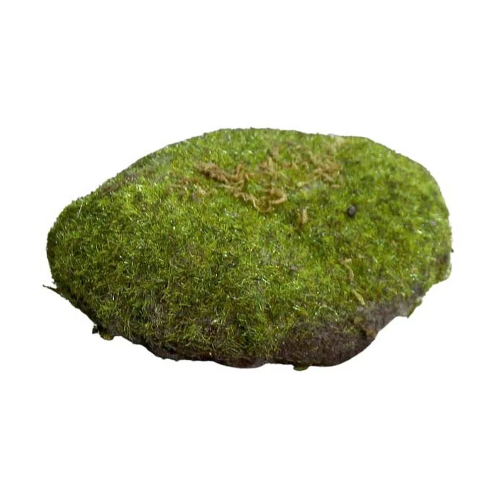 Mű moha dekoráció 13 cm zöld "Muscus"