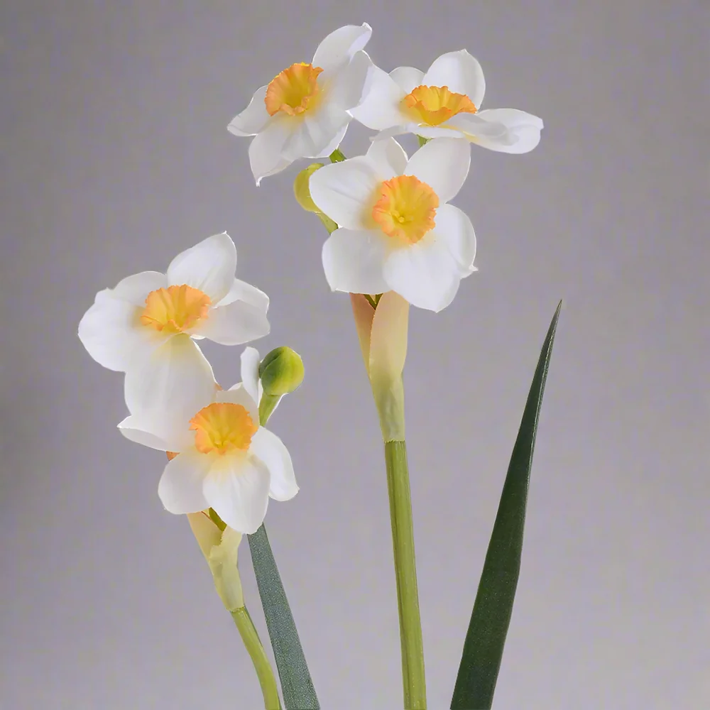NARCISSUS fehér mű nárcisz 55 cm