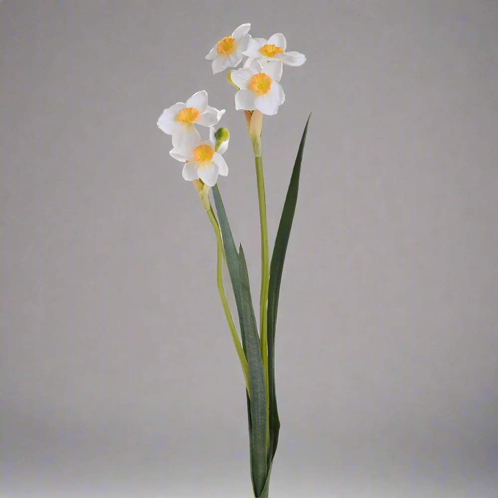 NARCISSUS fehér mű nárcisz 55 cm