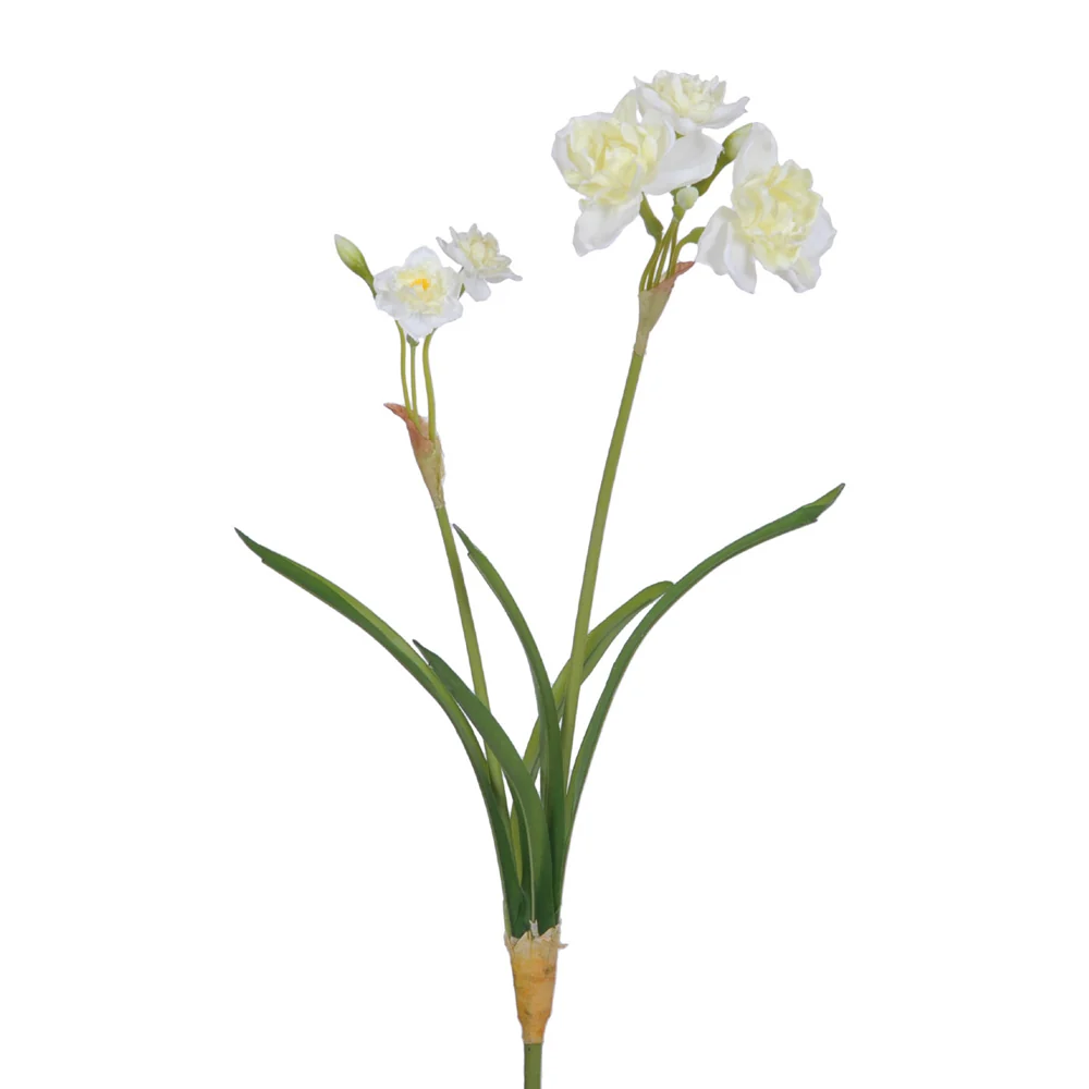 NARCISSUS krém mű nárcisz 67 cm