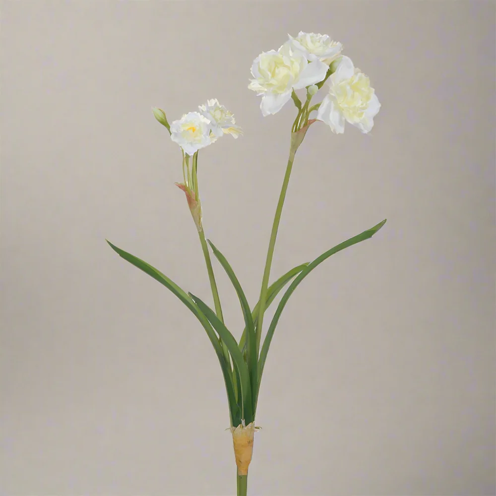 NARCISSUS krém mű nárcisz 67 cm